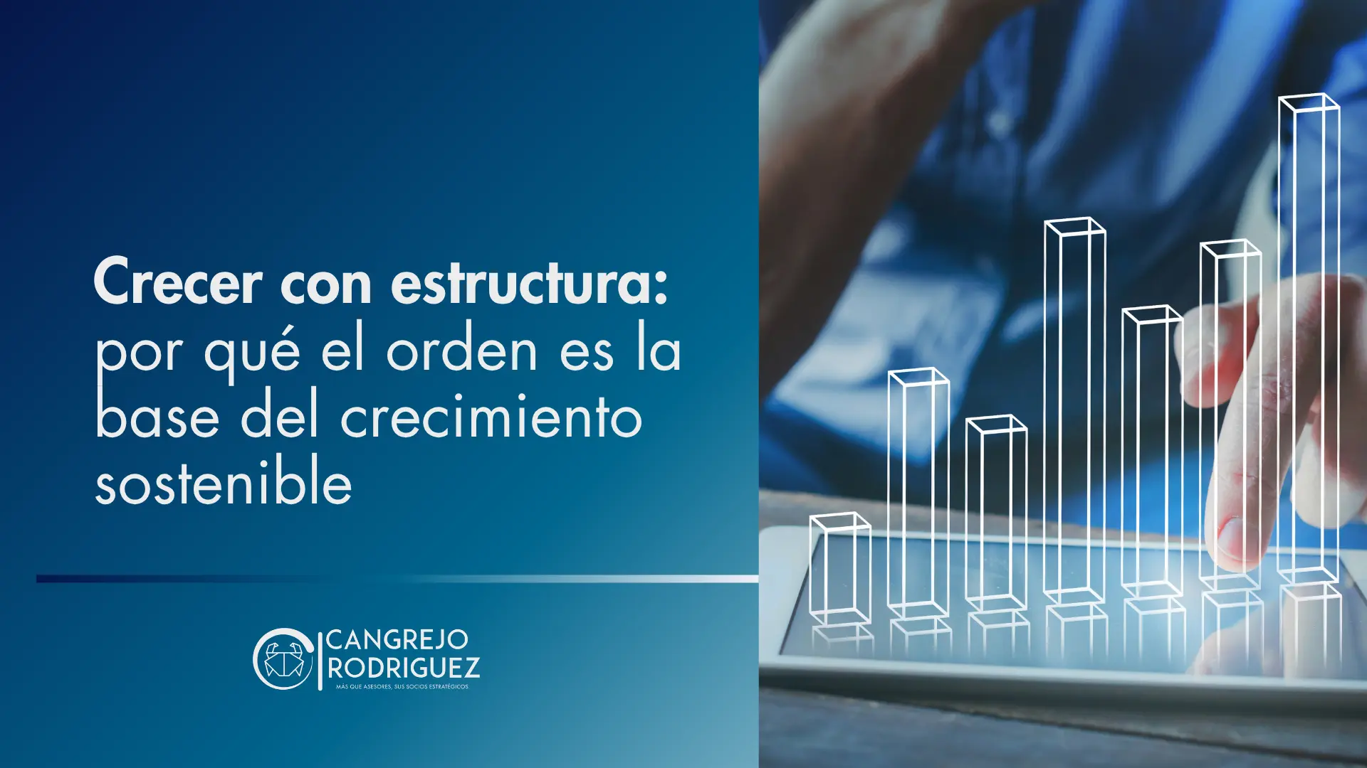 Crecer con estructura: por qué el orden es la base del crecimiento sostenible